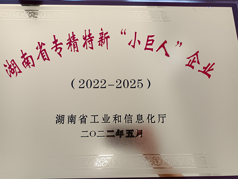 湖南省专精特新“小巨人”企业